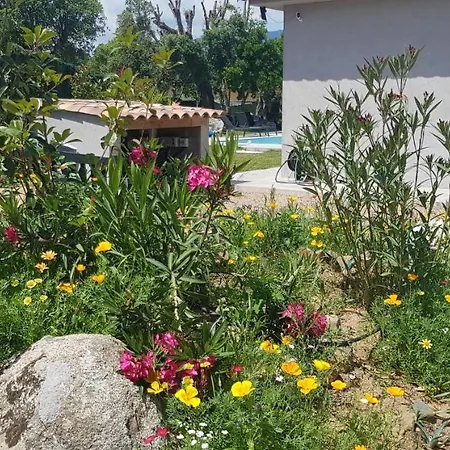 Mini-villa 2 Montagne *