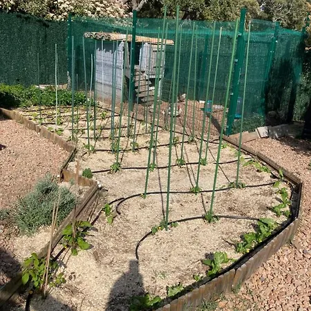 Mini-villa 2 Montagne Porto Vecchio