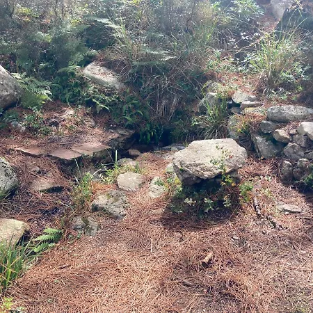 Mini-villa 2 Montagne *