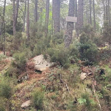 Сasa de vacaciones Mini-villa 2 Montagne Porto Vecchio