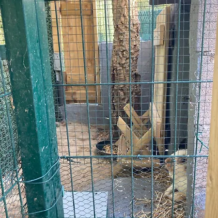 Mini-villa 2 Montagne Porto Vecchio