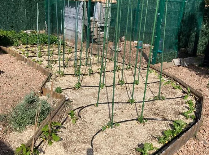 Mini-villa 2 Montagne Porto Vecchio