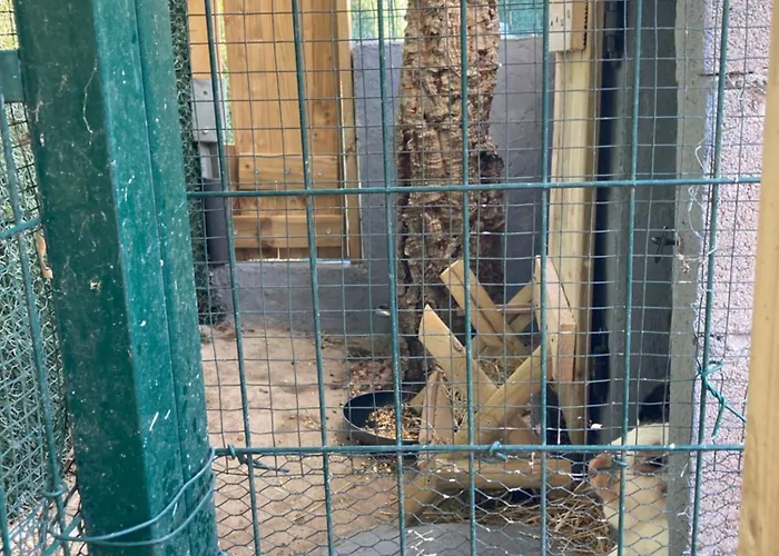 Mini-villa 2 Montagne Porto Vecchio